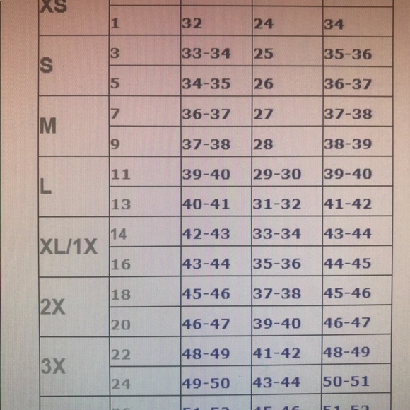 Adorable Bandeau Bikini - Picture 6 of 6